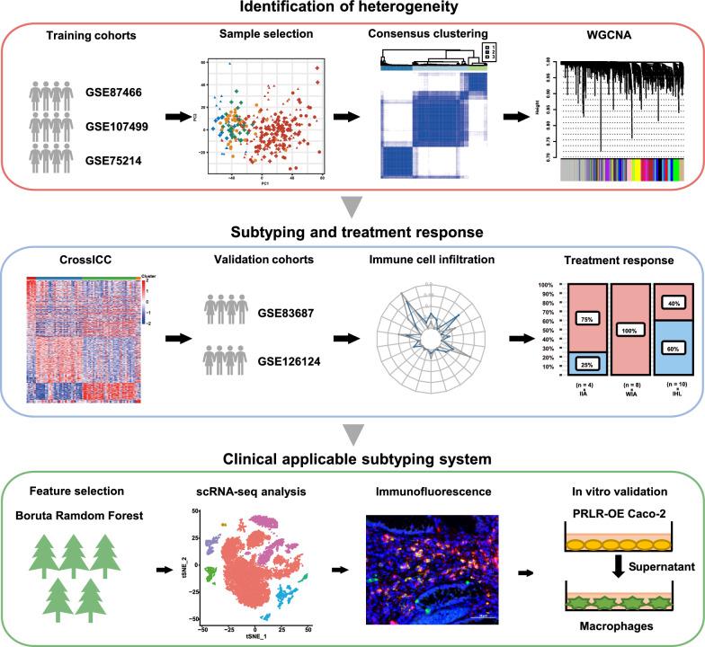 https://cdn.ncbi.nlm.nih.gov/pmc/blobs/09d5/10347743/4b55a8c3bcc9/12967_2023_4326_Fig1_HTML.jpg