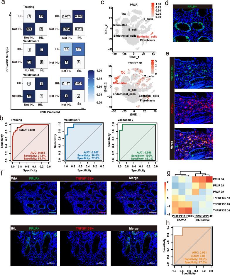 https://cdn.ncbi.nlm.nih.gov/pmc/blobs/09d5/10347743/795d19c5c073/12967_2023_4326_Fig6_HTML.jpg