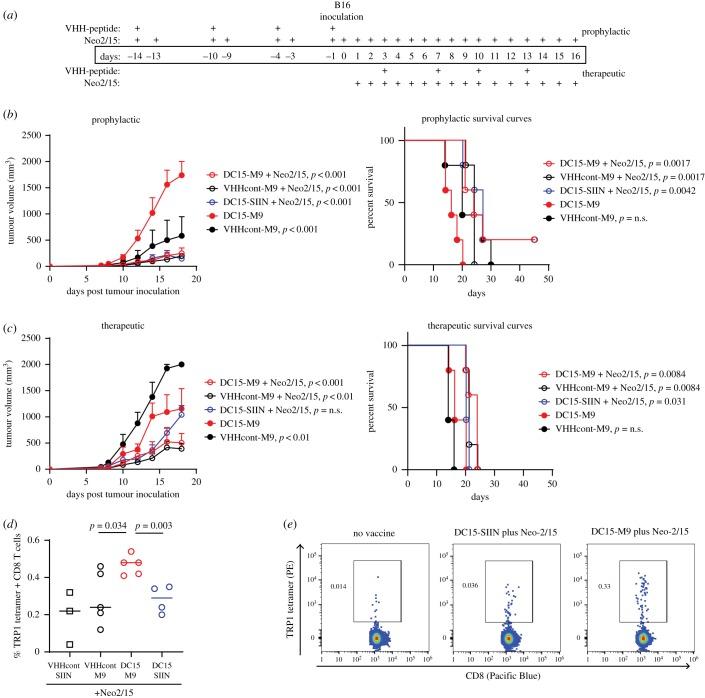 https://cdn.ncbi.nlm.nih.gov/pmc/blobs/09d9/7058936/a2207c007b8d/rsob-10-190235-g5.jpg