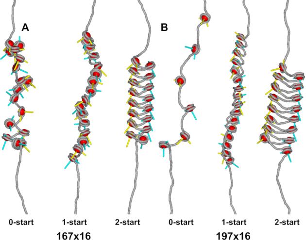 https://cdn.ncbi.nlm.nih.gov/pmc/blobs/09d9/7969035/694d19125ed6/gkab058fig1.jpg