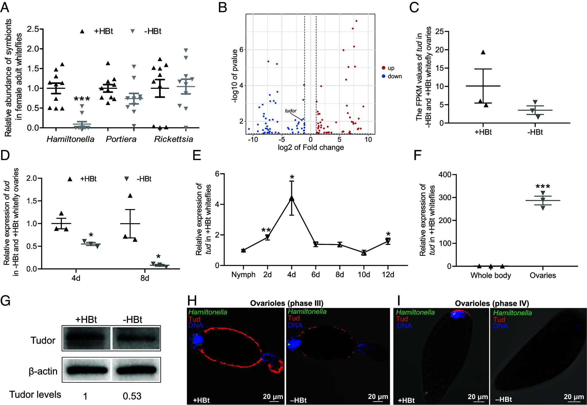 https://cdn.ncbi.nlm.nih.gov/pmc/blobs/09da/12184435/231002357d96/pnas.2427053122fig01.jpg