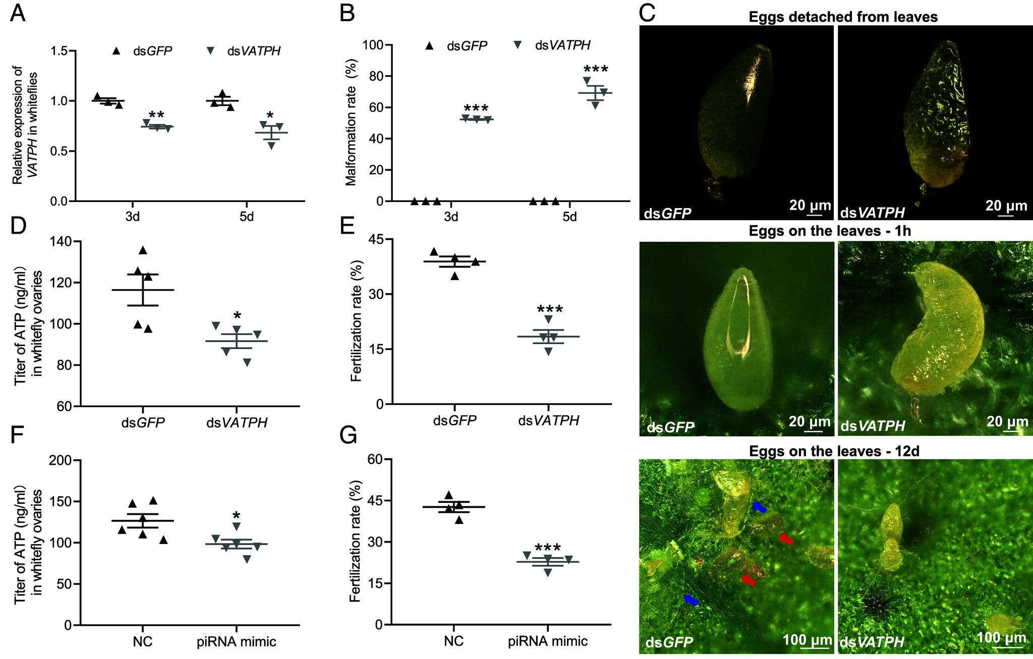 https://cdn.ncbi.nlm.nih.gov/pmc/blobs/09da/12184435/3968ac009c10/pnas.2427053122fig03.jpg