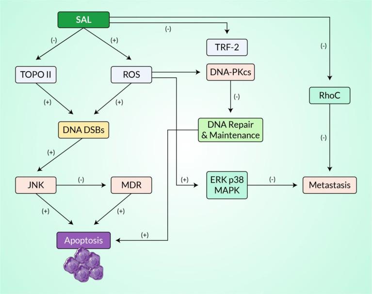 https://cdn.ncbi.nlm.nih.gov/pmc/blobs/09db/9198638/bb1a2e22fe86/fonc-12-899009-g004.jpg