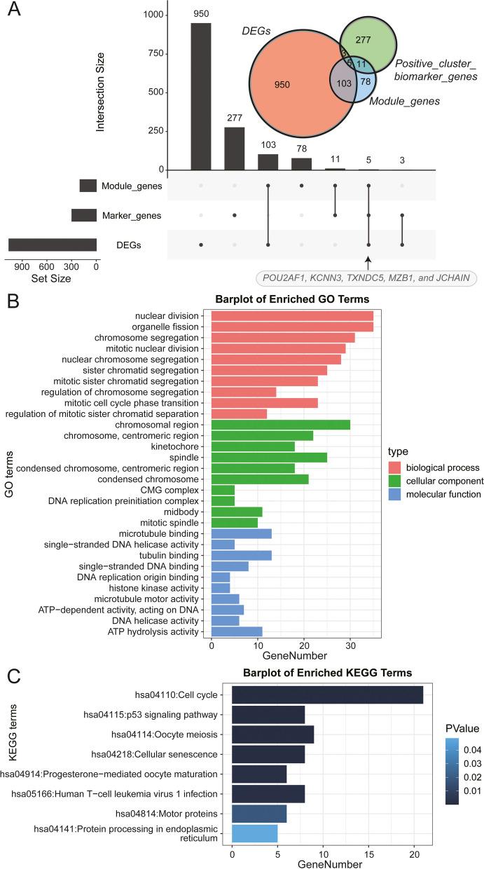 https://cdn.ncbi.nlm.nih.gov/pmc/blobs/09dc/11451256/211366a7d348/12879_2024_10000_Fig6_HTML.jpg