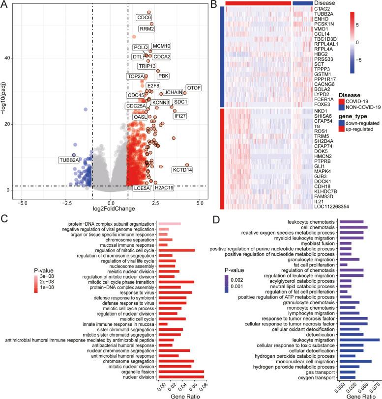 https://cdn.ncbi.nlm.nih.gov/pmc/blobs/09dc/11451256/67fce7c36441/12879_2024_10000_Fig2_HTML.jpg