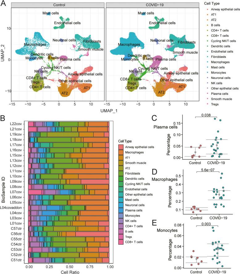 https://cdn.ncbi.nlm.nih.gov/pmc/blobs/09dc/11451256/f775356e7b89/12879_2024_10000_Fig5_HTML.jpg