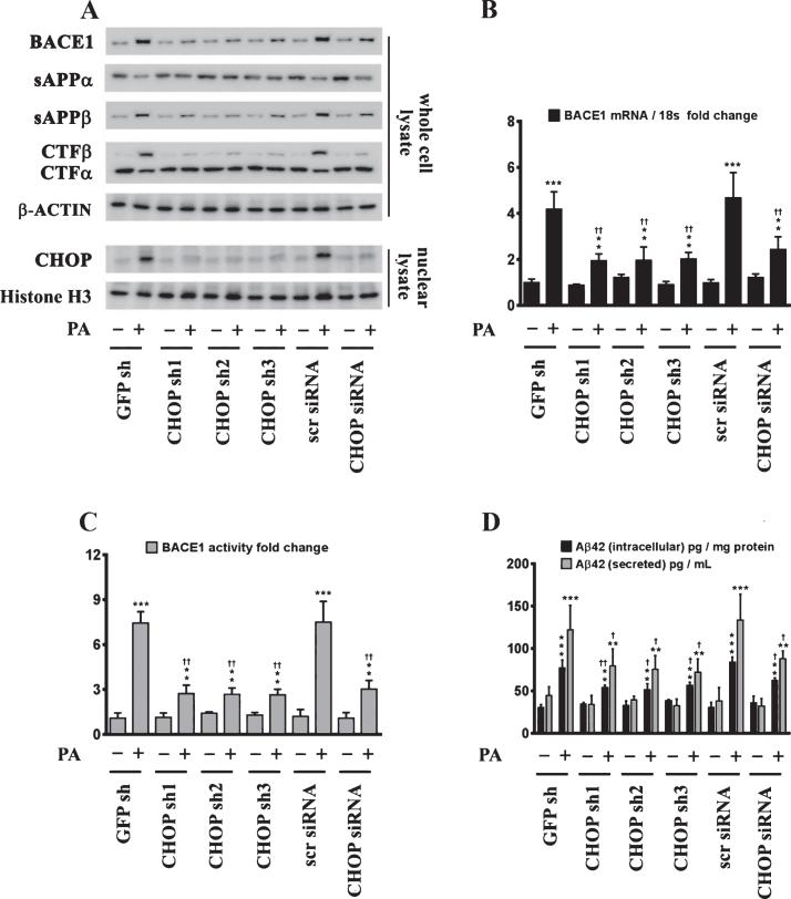 https://cdn.ncbi.nlm.nih.gov/pmc/blobs/09df/5389045/1c9b81df7ebc/jad-57-jad161130-g005.jpg