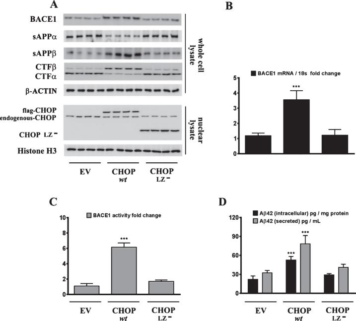 https://cdn.ncbi.nlm.nih.gov/pmc/blobs/09df/5389045/e410152c8a59/jad-57-jad161130-g007.jpg