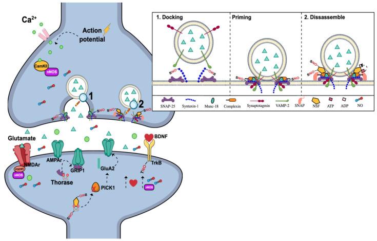 https://cdn.ncbi.nlm.nih.gov/pmc/blobs/09e0/10779493/a2f5e704bb0e/molecules-29-00089-g004.jpg
