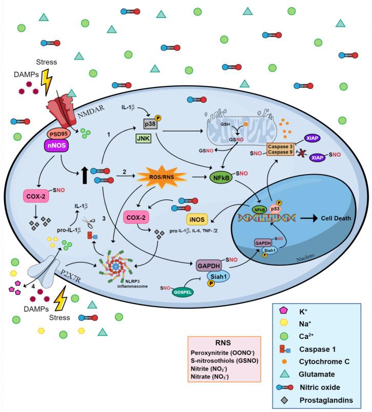 https://cdn.ncbi.nlm.nih.gov/pmc/blobs/09e0/10779493/d2e26d11244f/molecules-29-00089-g003.jpg