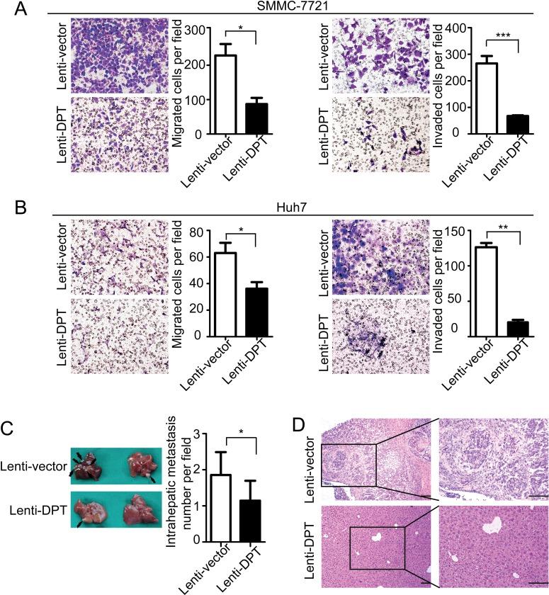 https://cdn.ncbi.nlm.nih.gov/pmc/blobs/09e1/4196157/3bfd415d5684/oncotarget-05-6701-g005.jpg