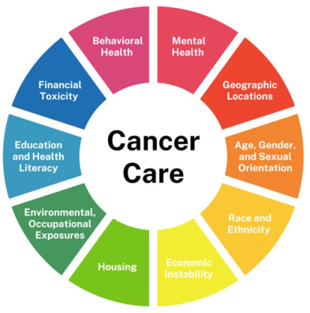 https://cdn.ncbi.nlm.nih.gov/pmc/blobs/09e2/11987860/def93b1ec1f8/cancers-17-01067-g001.jpg