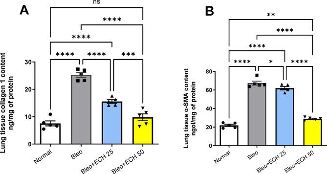 https://cdn.ncbi.nlm.nih.gov/pmc/blobs/09e2/12405438/11a1cf079f53/41598_2025_6559_Fig5_HTML.jpg