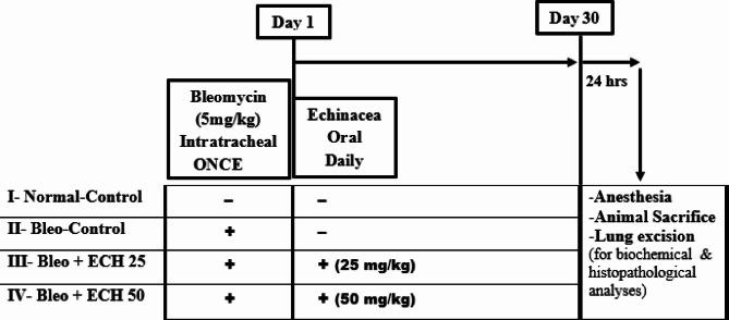 https://cdn.ncbi.nlm.nih.gov/pmc/blobs/09e2/12405438/312dc09b697a/41598_2025_6559_Fig1_HTML.jpg