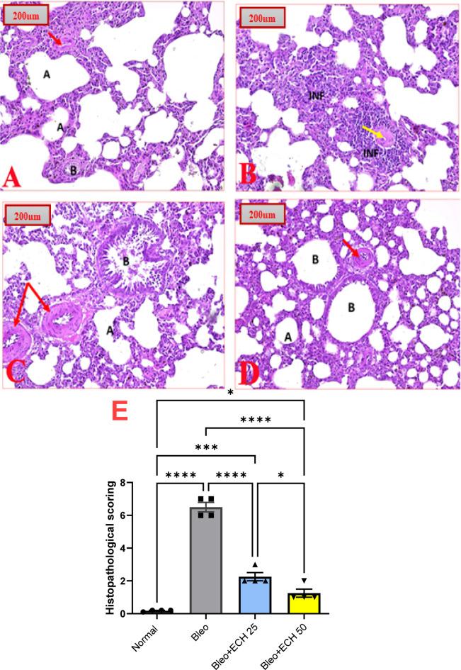 https://cdn.ncbi.nlm.nih.gov/pmc/blobs/09e2/12405438/608a6d889fba/41598_2025_6559_Fig7_HTML.jpg