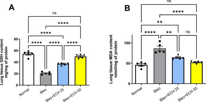 https://cdn.ncbi.nlm.nih.gov/pmc/blobs/09e2/12405438/663cf4b7d67d/41598_2025_6559_Fig2_HTML.jpg