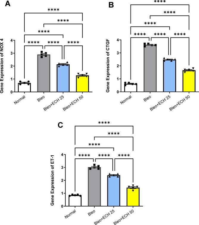 https://cdn.ncbi.nlm.nih.gov/pmc/blobs/09e2/12405438/d60beac656bc/41598_2025_6559_Fig6_HTML.jpg