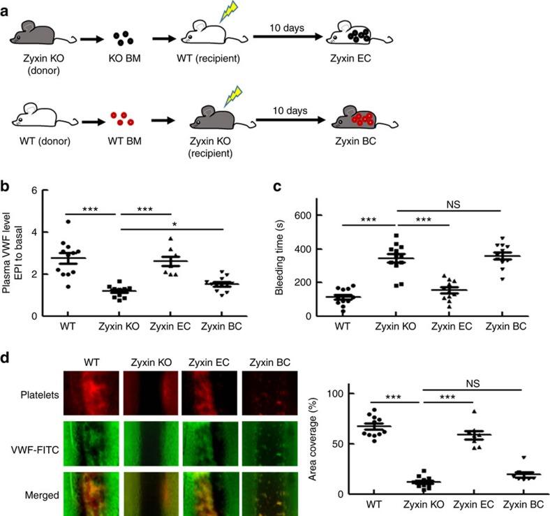 https://cdn.ncbi.nlm.nih.gov/pmc/blobs/09e2/5338022/0a239fd5709e/ncomms14639-f6.jpg