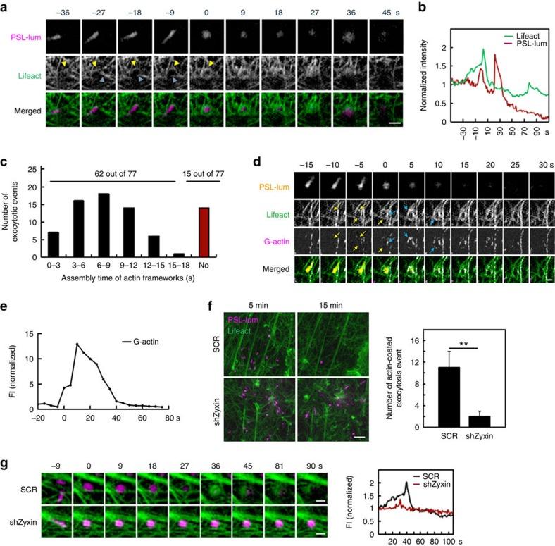 https://cdn.ncbi.nlm.nih.gov/pmc/blobs/09e2/5338022/6cc6caf5c114/ncomms14639-f2.jpg