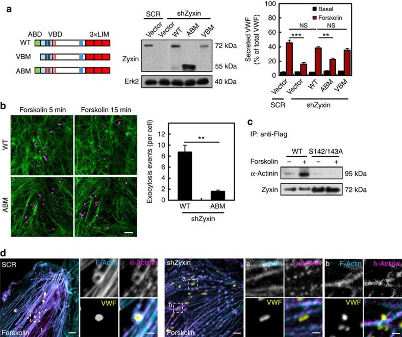 https://cdn.ncbi.nlm.nih.gov/pmc/blobs/09e2/5338022/81967f41ff2c/ncomms14639-f5.jpg