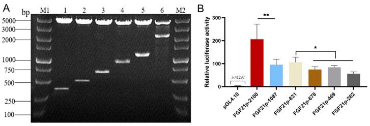 https://cdn.ncbi.nlm.nih.gov/pmc/blobs/09e3/10383868/8aa53800a155/vetsci-10-00452-g004.jpg