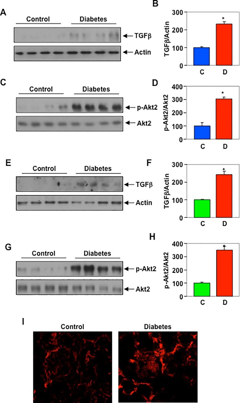 https://cdn.ncbi.nlm.nih.gov/pmc/blobs/09e3/6239304/7adba49186c4/pone.0207285.g010.jpg