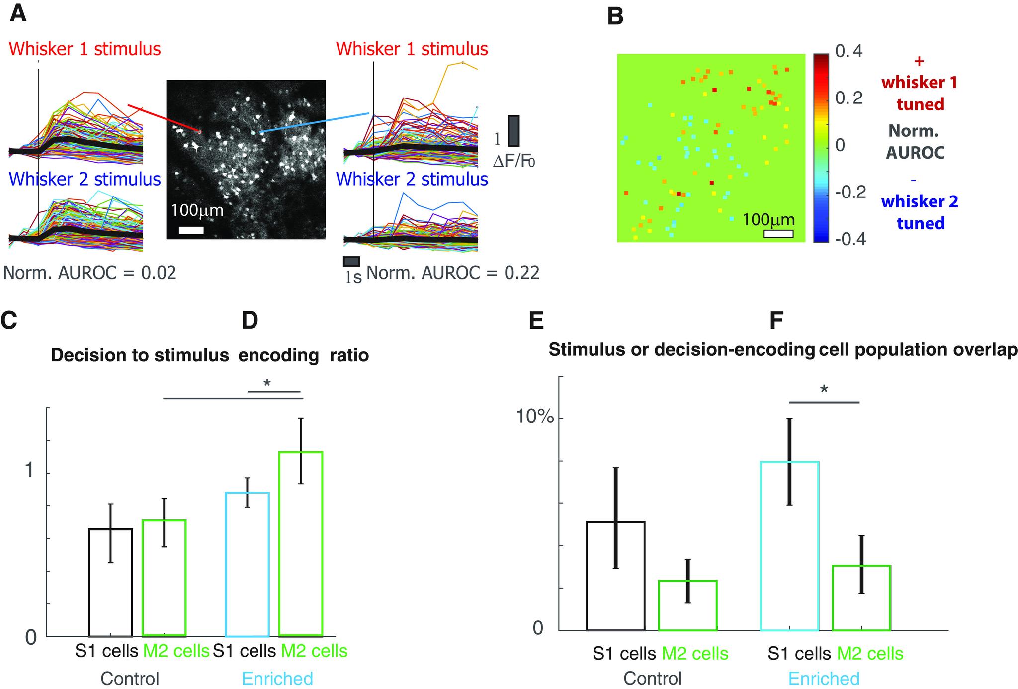 https://cdn.ncbi.nlm.nih.gov/pmc/blobs/09e3/8143018/744b21b9d555/ENEURO.0309-20.2021_f004.jpg