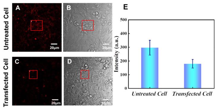 https://cdn.ncbi.nlm.nih.gov/pmc/blobs/09e9/10781284/525a5f82b559/sensors-24-00173-g002.jpg