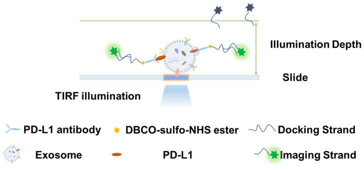https://cdn.ncbi.nlm.nih.gov/pmc/blobs/09e9/10781284/a7ae9e54709e/sensors-24-00173-g005.jpg