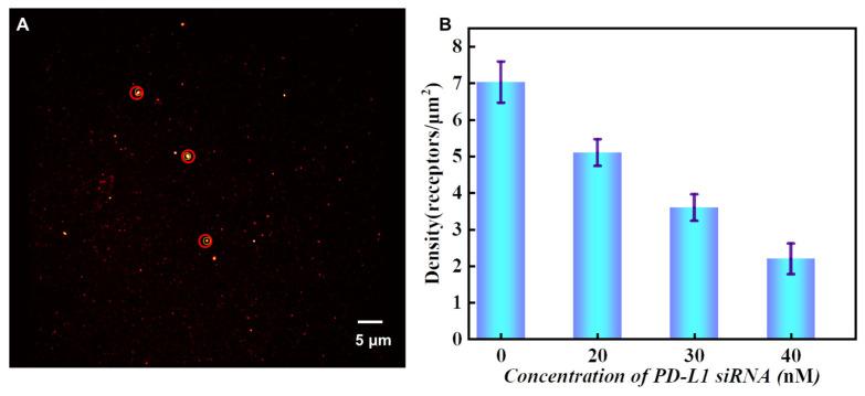 https://cdn.ncbi.nlm.nih.gov/pmc/blobs/09e9/10781284/e94d6128a99d/sensors-24-00173-g008.jpg
