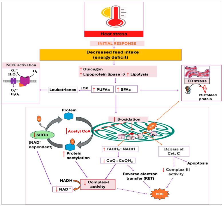 https://cdn.ncbi.nlm.nih.gov/pmc/blobs/09e9/12023971/30af79a57e09/antioxidants-14-00471-g006.jpg