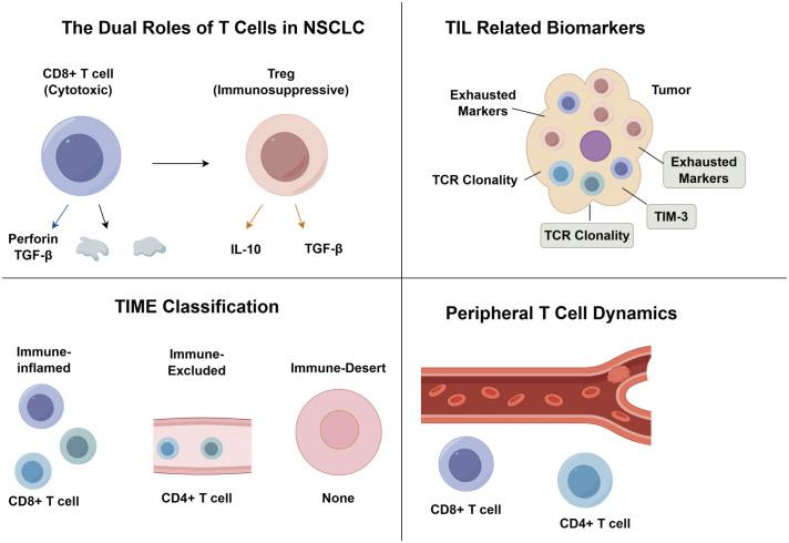 https://cdn.ncbi.nlm.nih.gov/pmc/blobs/09ea/12159075/106b6476cde5/fimmu-16-1604310-g001.jpg