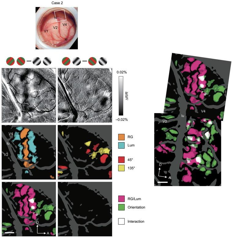 https://cdn.ncbi.nlm.nih.gov/pmc/blobs/09ea/3005205/9fcb1315f420/nihms240935f3.jpg