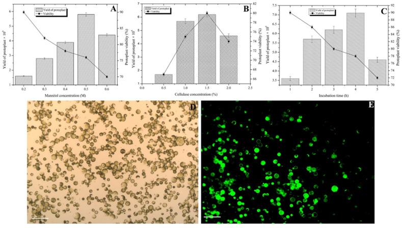 https://cdn.ncbi.nlm.nih.gov/pmc/blobs/09ea/8708831/e5b43d23c863/plants-10-02636-g001.jpg