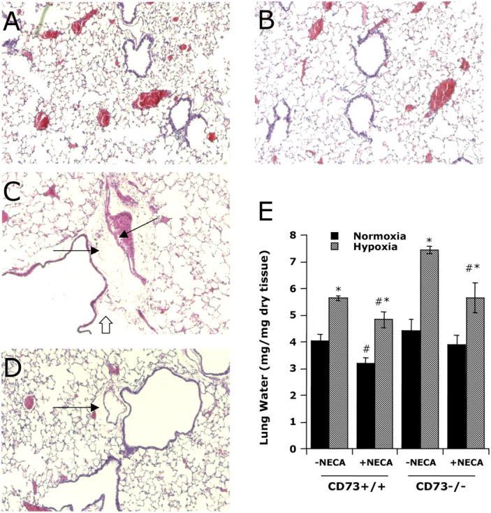 https://cdn.ncbi.nlm.nih.gov/pmc/blobs/09ec/2211958/d6d669b2491b/20040915f8.jpg