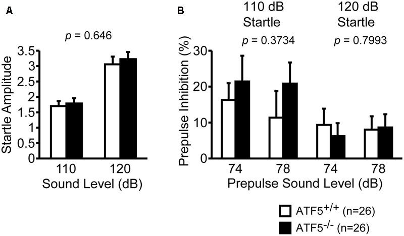 https://cdn.ncbi.nlm.nih.gov/pmc/blobs/09ec/5504141/bb582263fd41/fnbeh-11-00125-g008.jpg