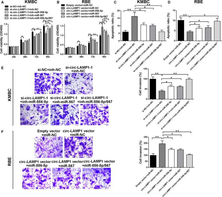 https://cdn.ncbi.nlm.nih.gov/pmc/blobs/09ed/8034453/d1d8e51964a9/JCMM-25-3226-g003.jpg