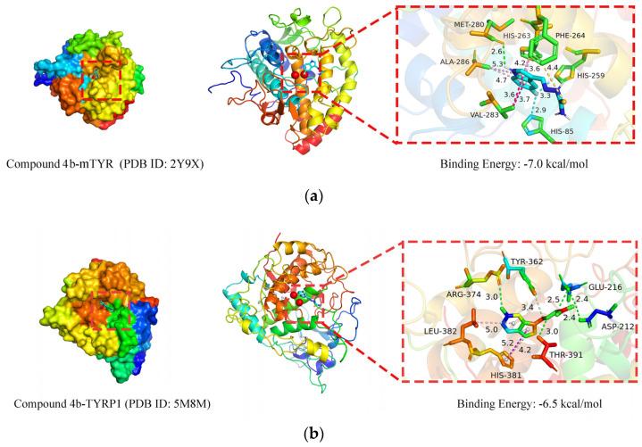 https://cdn.ncbi.nlm.nih.gov/pmc/blobs/09f0/11394742/539de2960b98/ijms-25-09636-g004.jpg