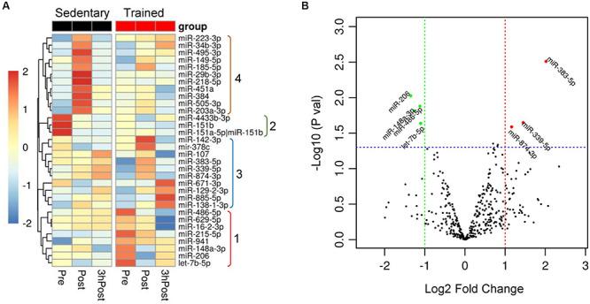 https://cdn.ncbi.nlm.nih.gov/pmc/blobs/09f3/7298138/73bc70cd2526/fphys-11-00605-g002.jpg