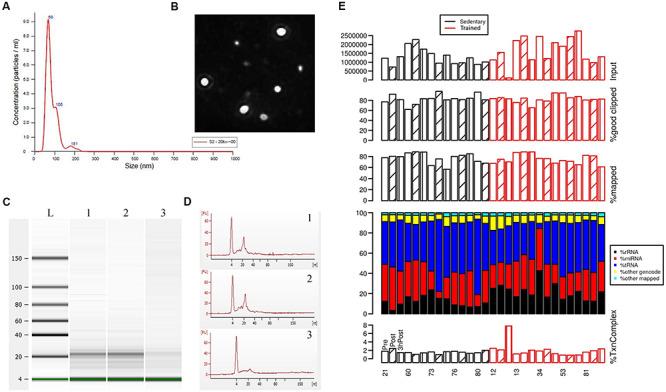 https://cdn.ncbi.nlm.nih.gov/pmc/blobs/09f3/7298138/f770b3d40b01/fphys-11-00605-g001.jpg