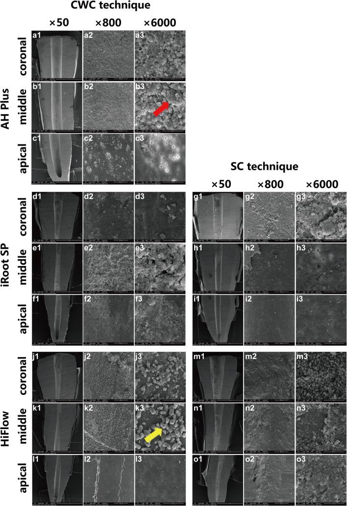 https://cdn.ncbi.nlm.nih.gov/pmc/blobs/09f5/8137581/088aab7bed63/784_2020_3747_Fig4_HTML.jpg