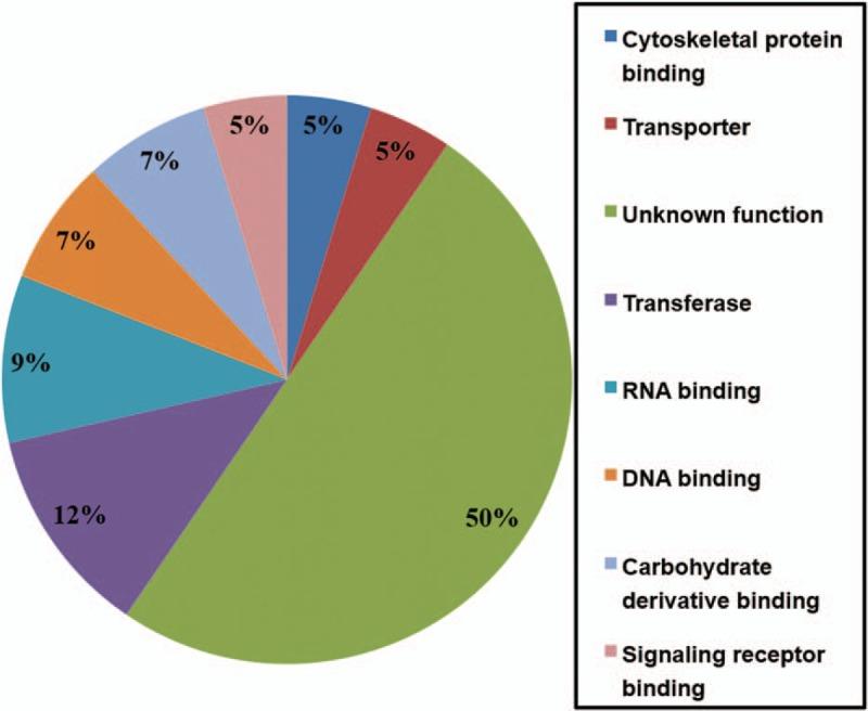 https://cdn.ncbi.nlm.nih.gov/pmc/blobs/09f7/6940165/8b8f133be1c9/medi-98-e18468-g004.jpg