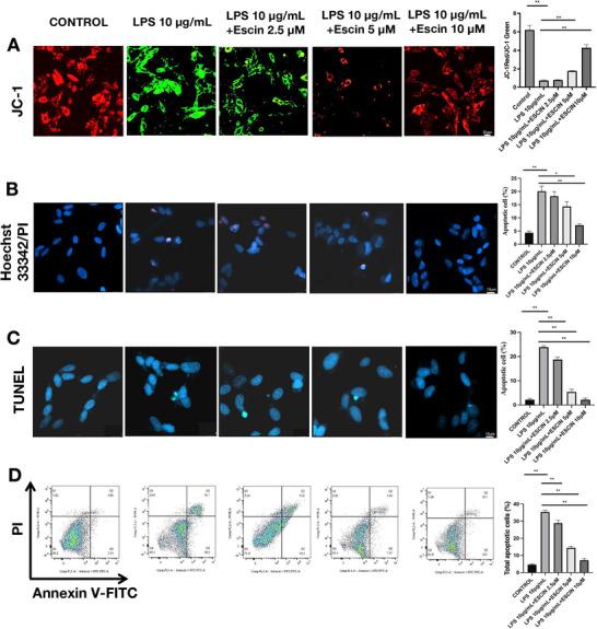 https://cdn.ncbi.nlm.nih.gov/pmc/blobs/09fa/12402593/4ec4aa046912/BRB3-15-e70810-g004.jpg