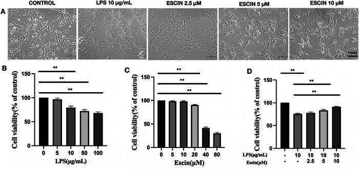 https://cdn.ncbi.nlm.nih.gov/pmc/blobs/09fa/12402593/6614f41f7d12/BRB3-15-e70810-g001.jpg