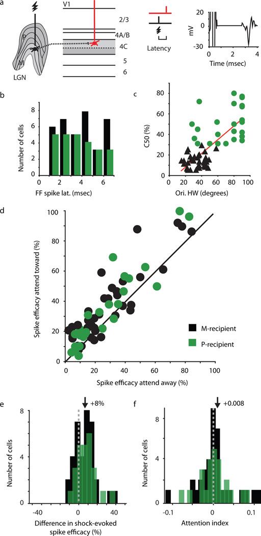 https://cdn.ncbi.nlm.nih.gov/pmc/blobs/09fa/3725204/cd7368e91655/nihms478313f2.jpg