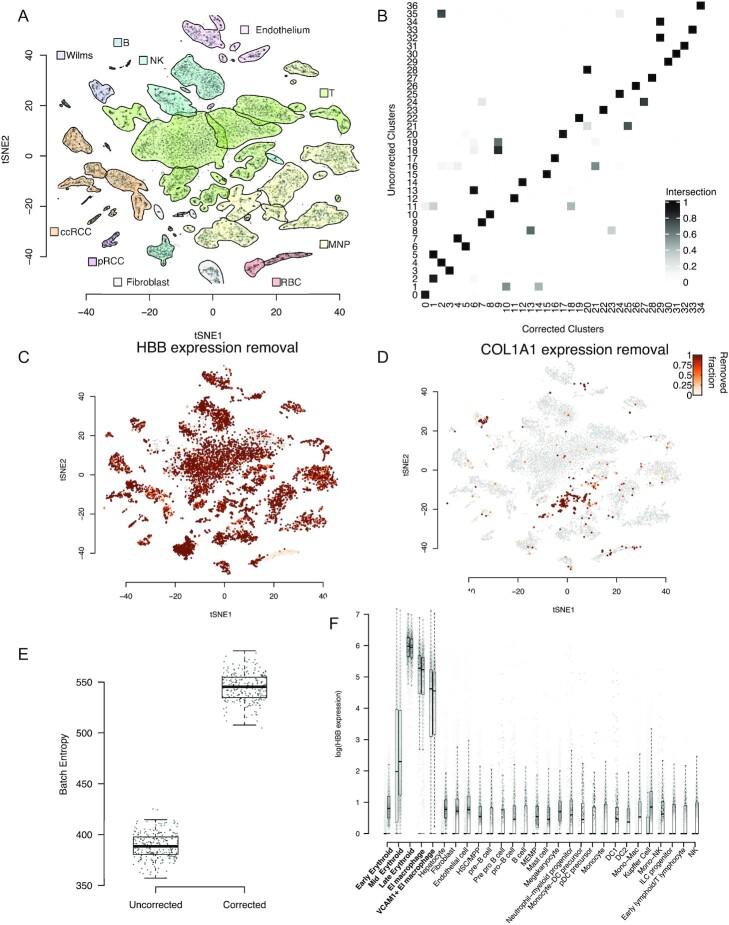 https://cdn.ncbi.nlm.nih.gov/pmc/blobs/09fa/7763177/1b41151e5892/giaa151fig4.jpg