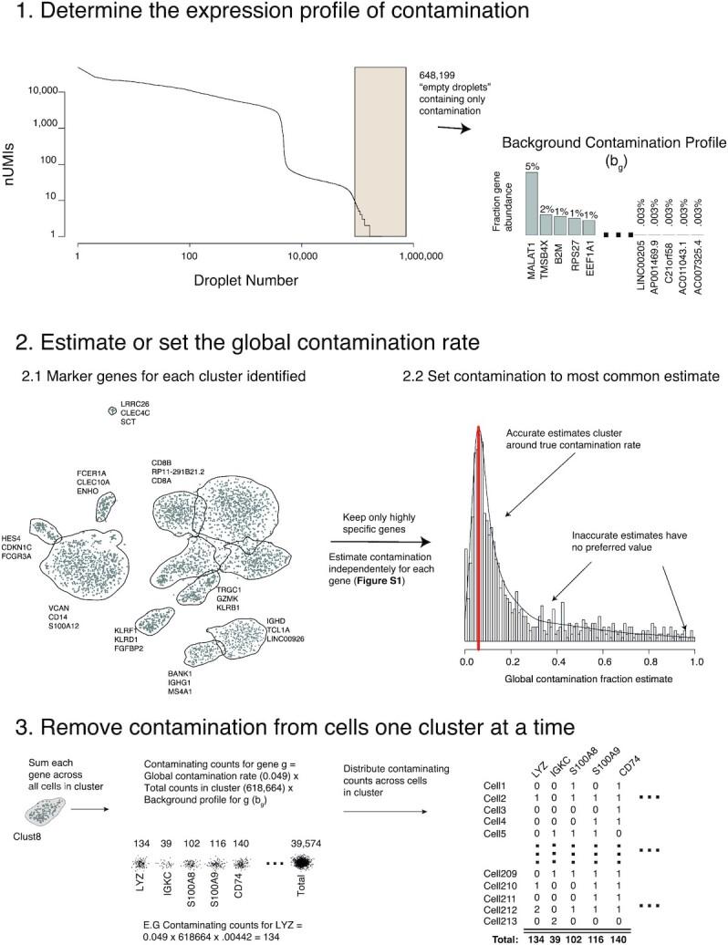 https://cdn.ncbi.nlm.nih.gov/pmc/blobs/09fa/7763177/a13251400375/giaa151fig1.jpg