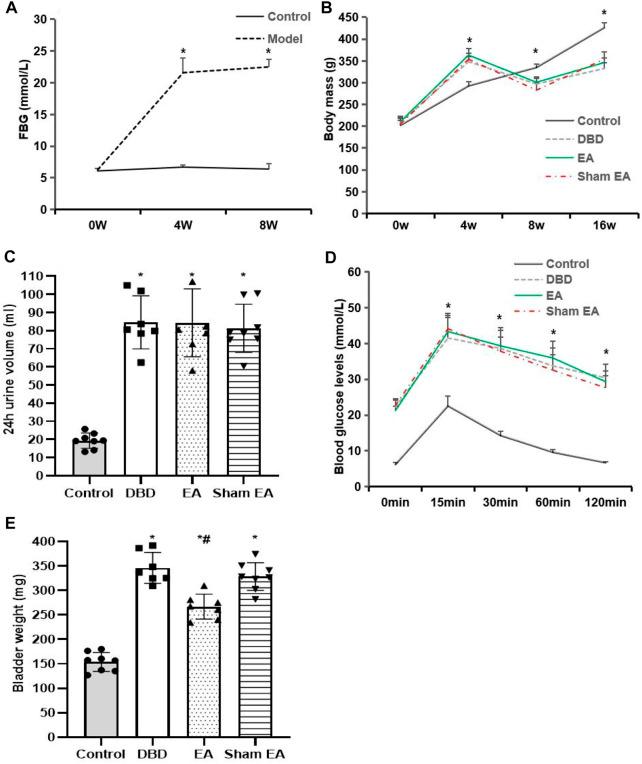 https://cdn.ncbi.nlm.nih.gov/pmc/blobs/09fa/9868671/7712346d46c9/fphys-13-1008269-g002.jpg