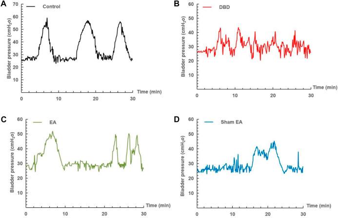 https://cdn.ncbi.nlm.nih.gov/pmc/blobs/09fa/9868671/c7b093e18a27/fphys-13-1008269-g003.jpg