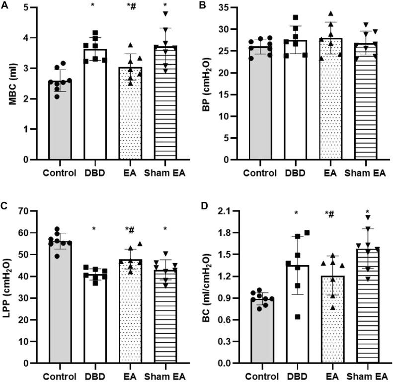 https://cdn.ncbi.nlm.nih.gov/pmc/blobs/09fa/9868671/cb6acf2bc826/fphys-13-1008269-g004.jpg